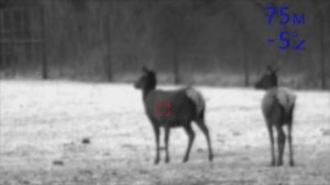 FORTUNA.ARMY - тепловизоры для охоты, прицелы для оружия, прицелы пульсар, охота с тепловизором