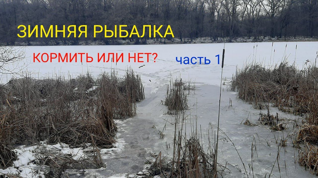 КОРМИТЬ ИЛИ НЕ КОРМИТЬ??? ЗИМНЯЯ РЫБАЛКА. ЧАСТЬ 1. смотреть онлайн