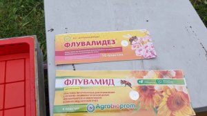 Флувалинт или щавелька? Чем лечить пчел? Мои кормушки для сиропа