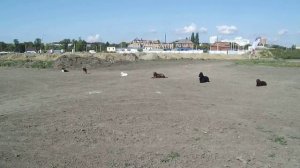 Обд 1 выдержка