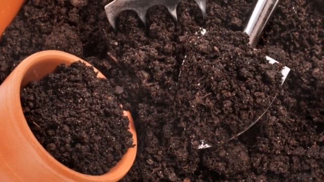 Какой ГРУНТ для рассады  выбрать, как купить хорошую землю для растений, советы от Евгении