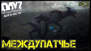DayZ НЕУДЕРЖИМЫЕ - МЕЖДУПАТЧЬЕ. ДУШИ И НЕ ТОЛЬКО (АНОМАЛЬСК , 12 серия, патч 1.11 - 1.12)