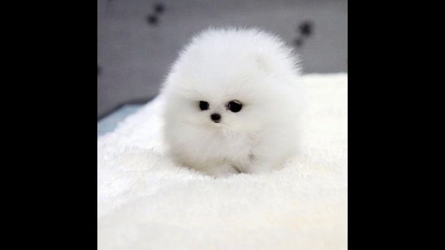 Знаки Зодиака! В школе.Какой знак зодиака ты. смотреть онлайн