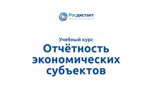 Отчётность экономических субъектов