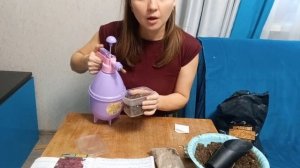 Посев колеуса