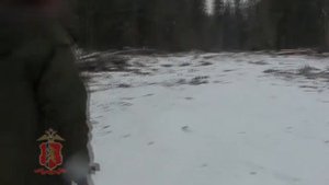 Разоблачены "черные лесорубы" из Большеулуйского района