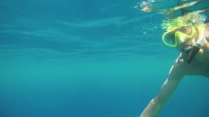 Акула в Египте Домина Корал Бэй Domina Coral Bay shark attack