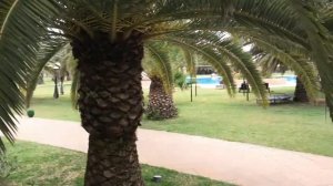 TUI SENSIMAR Oceana 5*,Тунис, Хаммамет. Обзор отеля.