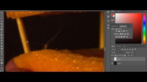 Предметная съемка. Открываем секреты создания фото иллюзии