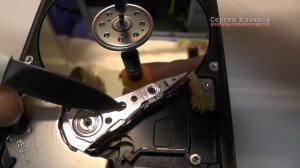 Упал жёсткий диск пищит и не запускается