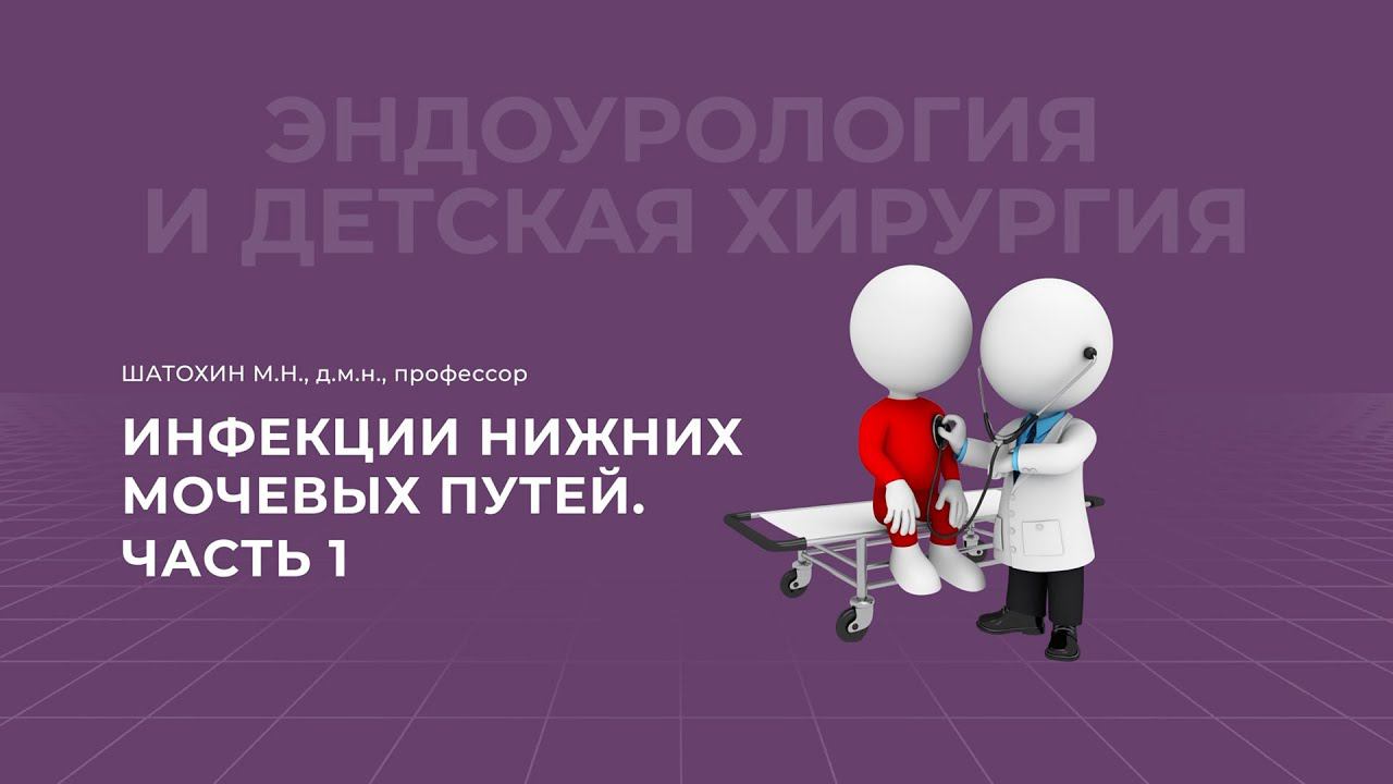 16:00 22.10.22 Инфекции нижних мочевых путей. Часть 1