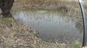ЛОВЛЯ КРУПНОГО КАРАСЯ И ВОБЛЫ В КАМЫШЕ на поплавочную удочку.Весенняя рыбалка в астрахани 2023