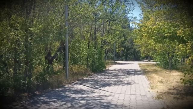 Моя бывшая свекровь так достала меня, что я ушла от мужа. А теперь она требует, чтобы я вернулась.. смотреть онлайн