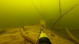 Подводная охота  Щука на 15 кг, судаки, язи и море другой рыбы)