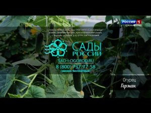 Окончание нвостей РОССИЯ 1 ЮЖНЫЙ УРАЛ 13.05.2023