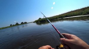 РЫБАЛКА В ЗАБРОДКУ НА КЛЯЗЬМЕ. Ловим щуку на Mepps. Недообзор спиннинга Nautilus Shikari SKS-S662UL