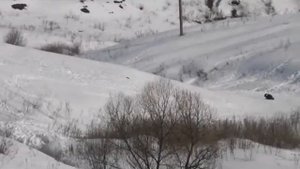 Тербуны Улица Липецкая