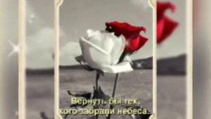 Пока мы живы...