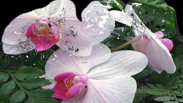 ARTOONIX - Playing with TRANSITIONS смотреть онлайн