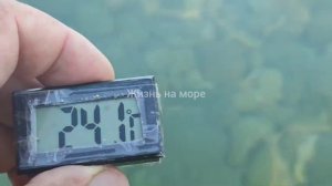 Дивноморское. Погода 18.08.2024. Замеряем воду 🐬