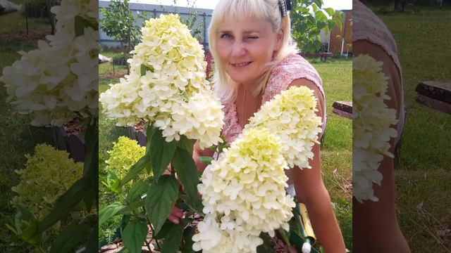 гимн ГОРТЕНЗИИ #наташинИсерёжинСАД смотреть онлайн