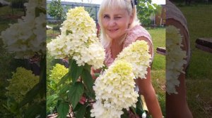 гимн ГОРТЕНЗИИ #наташинИсерёжинСАД