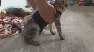 Операция, Стерилизация