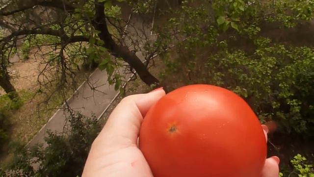 Рум -тур/Духи/Украшения/Еда/Вспоминашки и т.д. смотреть онлайн