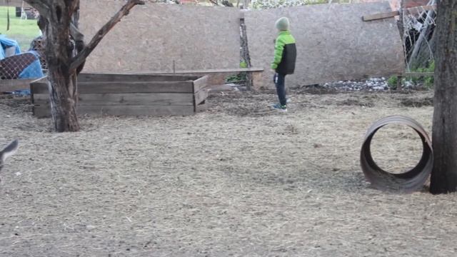 Маленькая козочка. смотреть онлайн