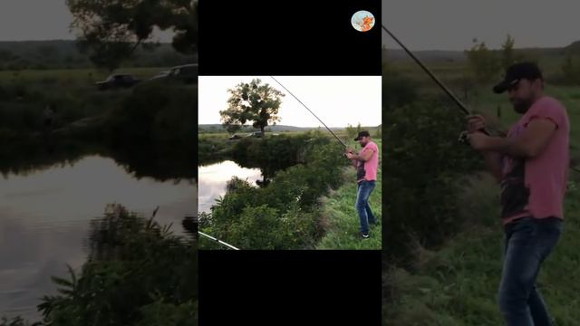 And they said that it is not found in the river #рибалкавукраїні #fishing #camping #fish смотреть онлайн