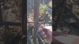 Защелка на калитку своими руками