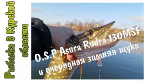 O.S.P Asura Rudra 130MSF и очередная зимняя щука. Твичинг 130-тых в середине января