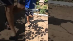 Как прецепить автомобильный прицеп к мотоблоку за пару секунд.