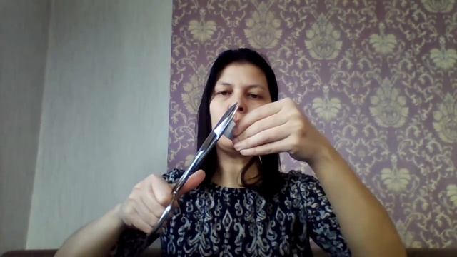 Занимашки №21 Аппликация "Животный мир"