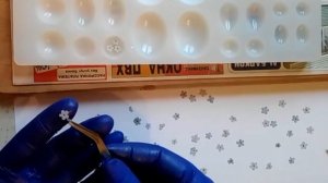Незабудки в эпоксидной смоле. Как убрать пузырьки в эпоксидной смоле/DIY/Мастер класс