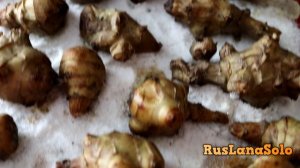 Топинамбур ? Jerusalem artichoke ? Рецепты ??ЗЕМЛЯНАЯ ГРУША ❤️ Домашний ЭКСПЕРТ RusLanaSolo