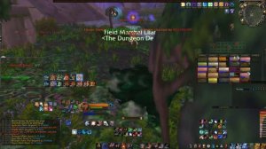 Alliance vs Dragon and Horde. WoW classic world PvP