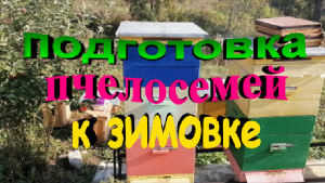 Подготовка пчелосемей к зимовке. Контроль кормов.