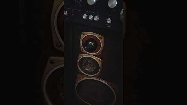 6 гд 13 и обычный динамик в радиотехника S 90
