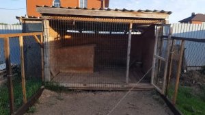 Сад и огород. Обустройства сада и участка. Свой дом.