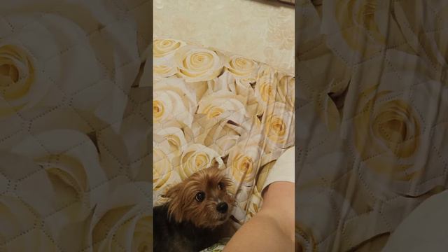 12 января 2024 г. смотреть онлайн