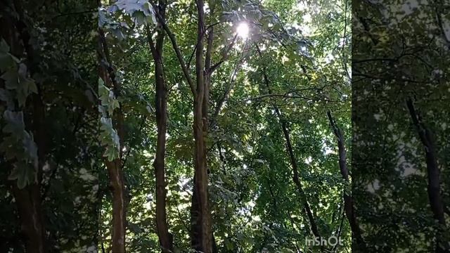 Исцеление душевной боли, переживаний, страха,...