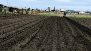 Минипогрузчик в огороде. Пашет. садит картошку. И т.д.