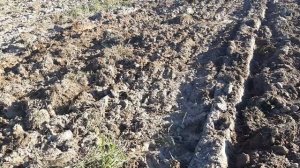 Часть 16  Подготовка поля к посеву многолетних трав ?????