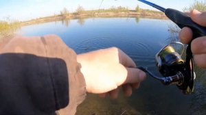 TsuYoki Rival SR 43 SP, Norstream Navigator и ничего себе поклевка!