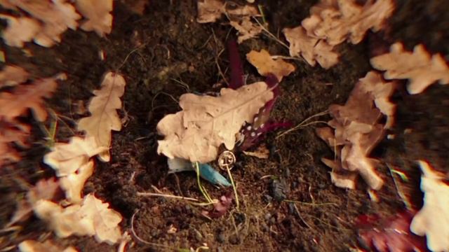 All Disney remakes are bad, hear me out – Garbage Retrospective to Disney’s Live action adaptations смотреть онлайн