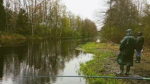 Донная снасть с самоподсекателем из Китая,честный отзыв,опыт использования.