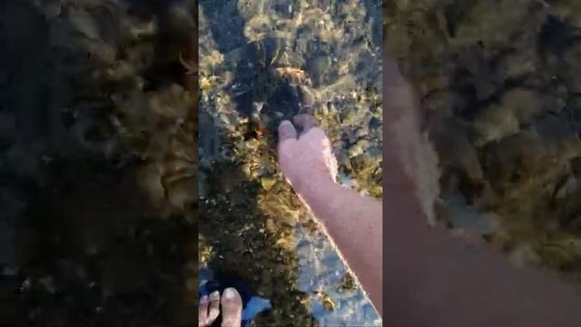 Гуманность прежде всего смотреть онлайн