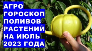 Агрогороскоп поливов растений в июле 2023 года. Агрогороскоп поливів рослин в липні 2023 року