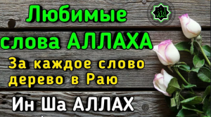 ЛЮБИМЫЕ СЛОВА ВСЕВЫШНЕГО АЛЛАХА